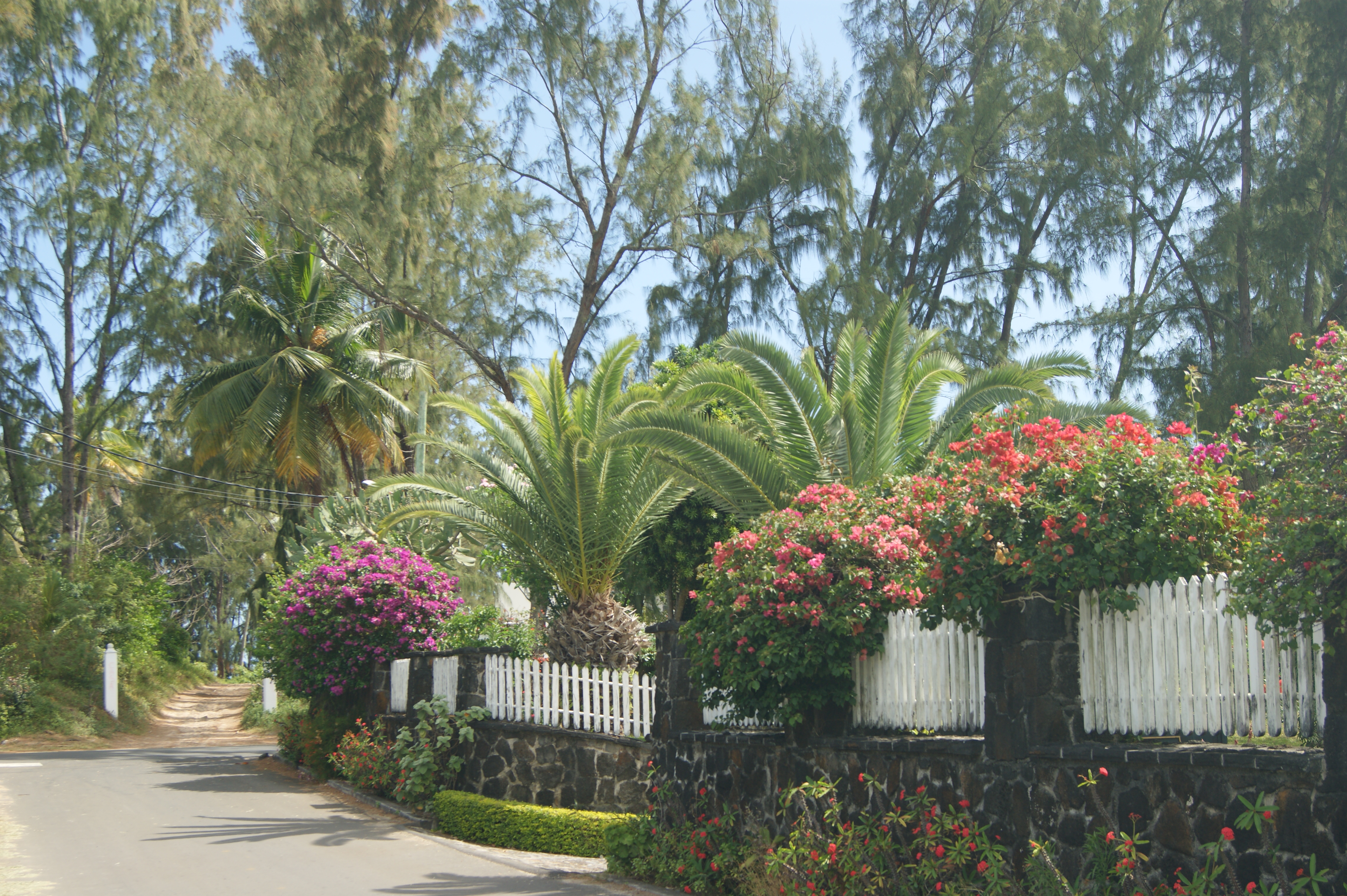 le chemin vers la mer